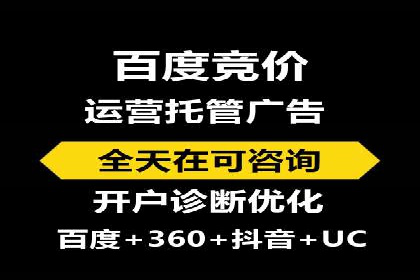 搜索引擎竞价推广实战：行业领先企业的成功秘诀